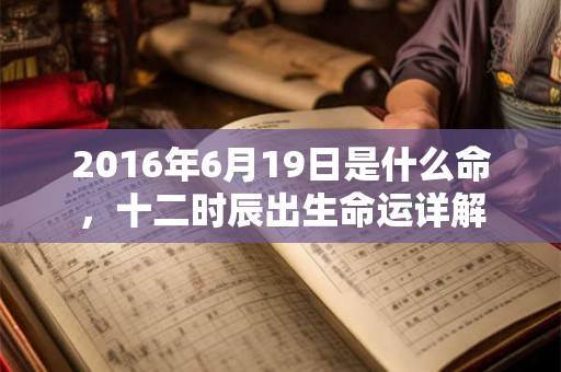 2016年6月19日是什么命，十二时辰出生命运详解