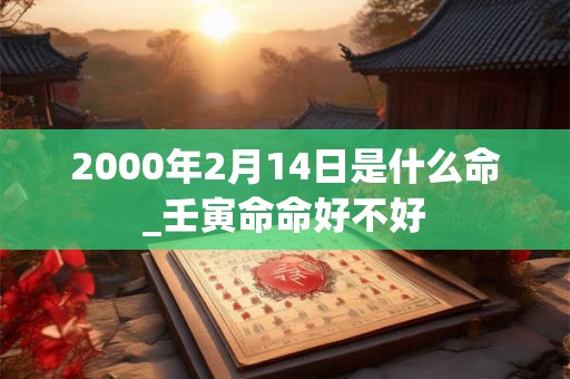 2000年2月14日是什么命_壬寅命命好不好