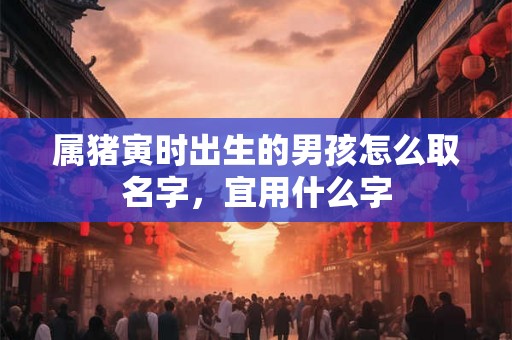 属猪寅时出生的男孩怎么取名字，宜用什么字