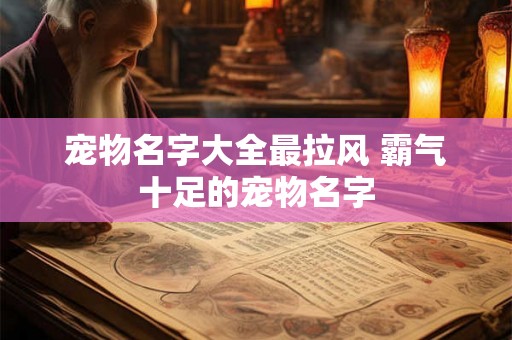 宠物名字大全最拉风 霸气十足的宠物名字