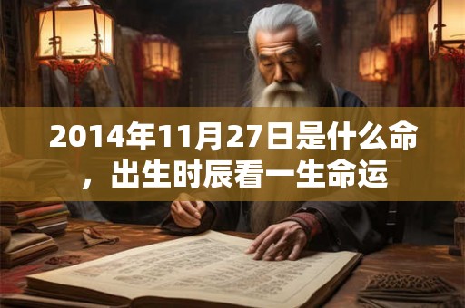 2014年11月27日是什么命，出生时辰看一生命运