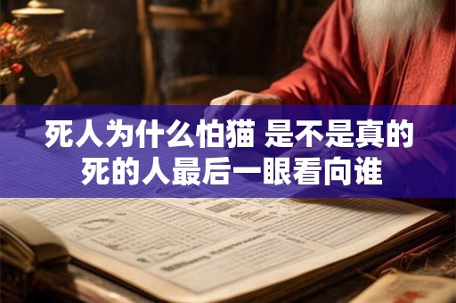 死人为什么怕猫 是不是真的 死的人最后一眼看向谁
