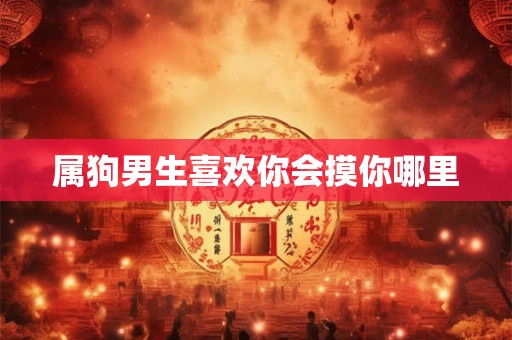 属狗男生喜欢你会摸你哪里