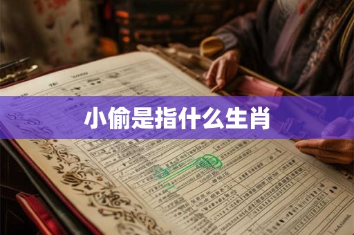 小偷是指什么生肖