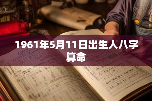 1961年5月11日出生人八字算命 1961年5月11日出生人八字算命