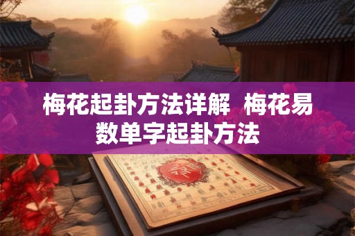 梅花起卦方法详解  梅花易数单字起卦方法