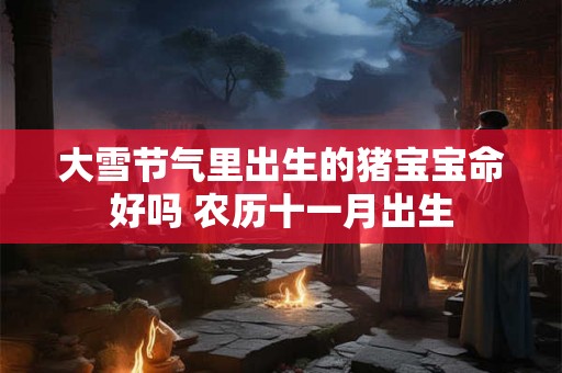 大雪节气里出生的猪宝宝命好吗 农历十一月出生