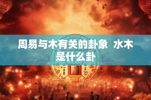 周易与木有关的卦象  水木是什么卦