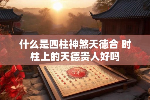 什么是四柱神煞天德合 时柱上的天德贵人好吗