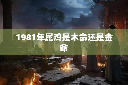 1981年属鸡是木命还是金命