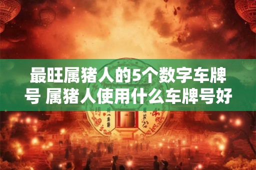 最旺属猪人的5个数字车牌号 属猪人使用什么车牌号好