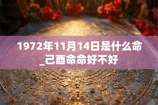 1972年11月14日是什么命_己酉命命好不好