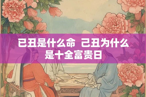 已丑是什么命  己丑为什么是十全富贵日