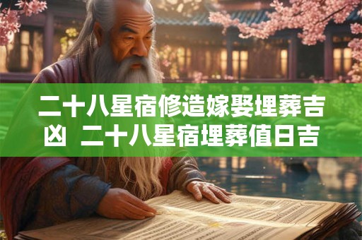 二十八星宿修造嫁娶埋葬吉凶  二十八星宿埋葬值日吉凶