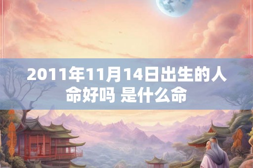 2011年11月14日出生的人命好吗 是什么命