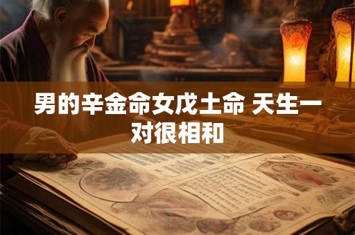 男的辛金命女戊土命 天生一对很相和