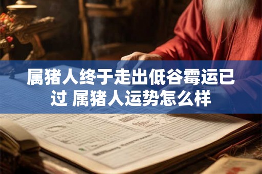 属猪人终于走出低谷霉运已过 属猪人运势怎么样 属猪人终于走出低谷霉运已过 属猪人运势怎么样