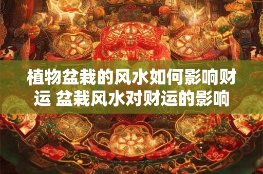 植物盆栽的风水如何影响财运 盆栽风水对财运的影响
