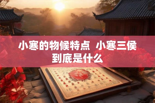 小寒的物候特点  小寒三侯到底是什么