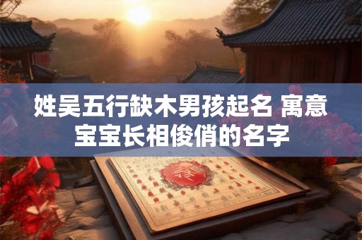 姓吴五行缺木男孩起名 寓意宝宝长相俊俏的名字