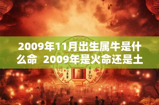 2009年11月出生属牛是什么命  2009年是火命还是土命