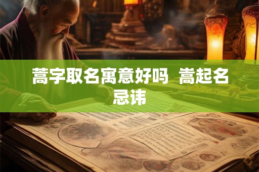 蒿字取名寓意好吗  嵩起名忌讳