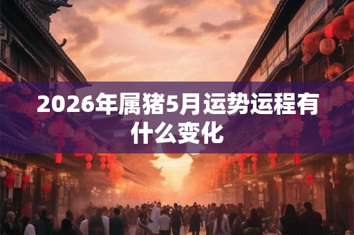 2026年属猪5月运势运程有什么变化