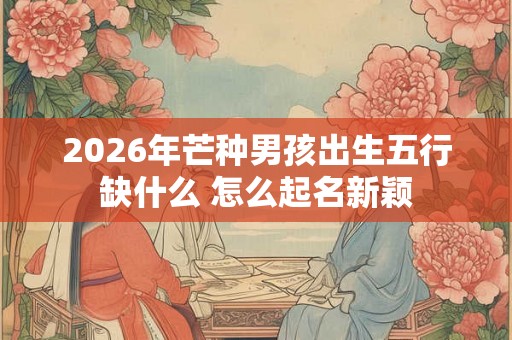 2026年芒种男孩出生五行缺什么 怎么起名新颖