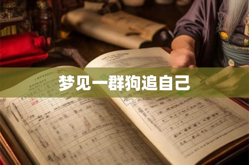 梦见一群狗追自己