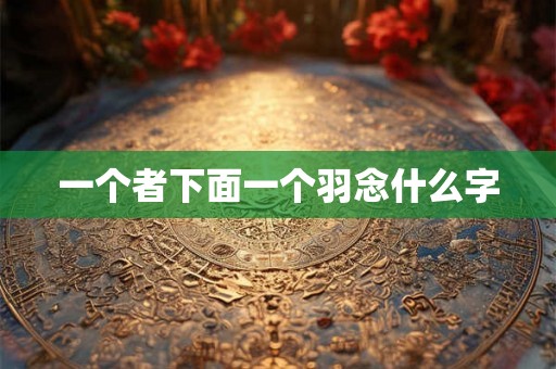 一个者下面一个羽念什么字