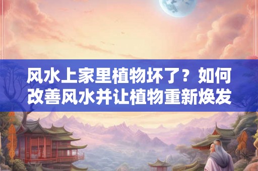 风水上家里植物坏了？如何改善风水并让植物重新焕发生机？