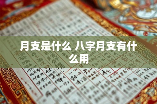 月支是什么 八字月支有什么用