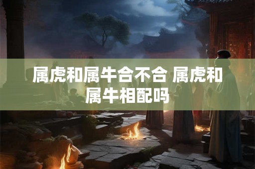 属虎和属牛合不合 属虎和属牛相配吗 属虎和属牛合不合 属虎和属牛相配吗