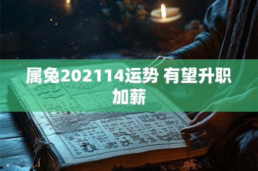 属兔202114运势 有望升职加薪