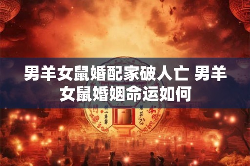 男羊女鼠婚配家破人亡 男羊女鼠婚姻命运如何