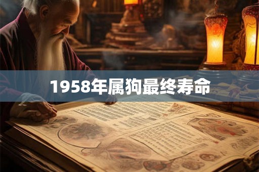 1958年属狗最终寿命 1958年属狗最终寿命