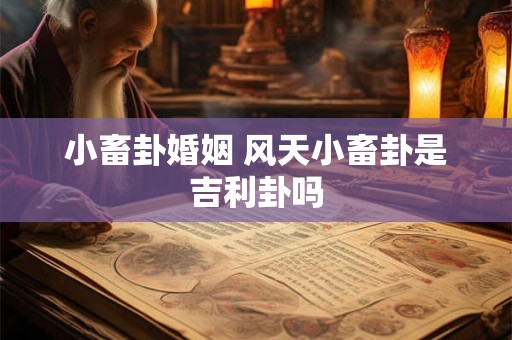小畜卦婚姻 风天小畜卦是吉利卦吗