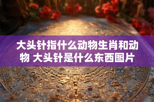 大头针指什么动物生肖和动物 大头针是什么东西图片