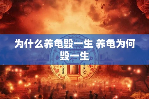 为什么养龟毁一生 养龟为何毁一生