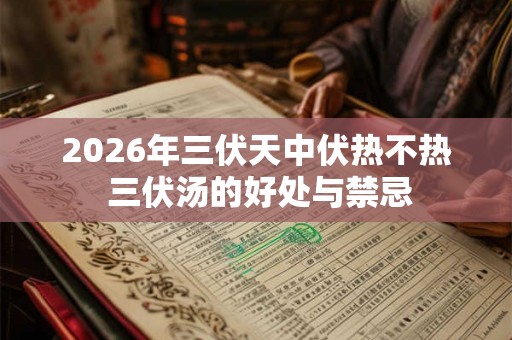 2026年三伏天中伏热不热 三伏汤的好处与禁忌 2026年三伏天中伏热不热 三伏汤的好处与禁忌
