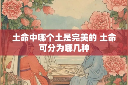 土命中哪个土是完美的 土命可分为哪几种
