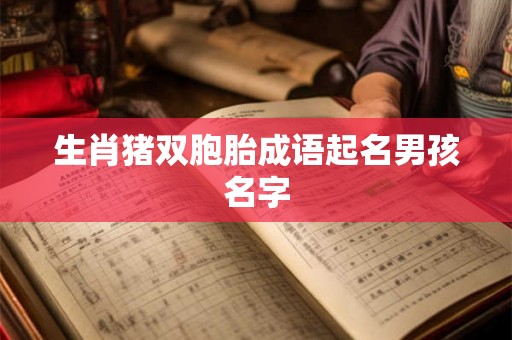 生肖猪双胞胎成语起名男孩名字
