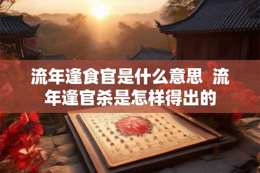 流年逢食官是什么意思  流年逢官杀是怎样得出的