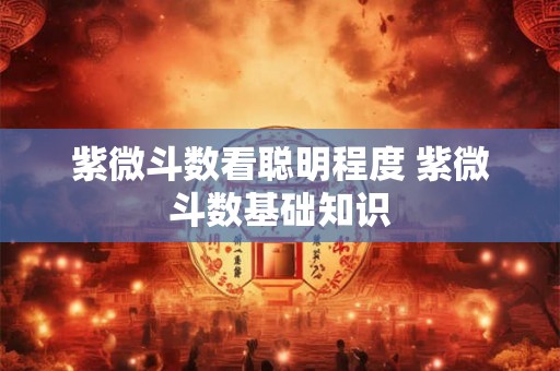紫微斗数看聪明程度 紫微斗数基础知识