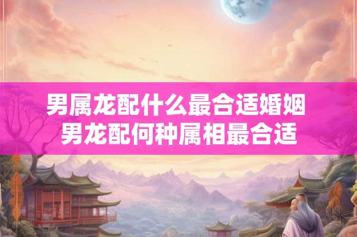 男属龙配什么最合适婚姻 男龙配何种属相最合适