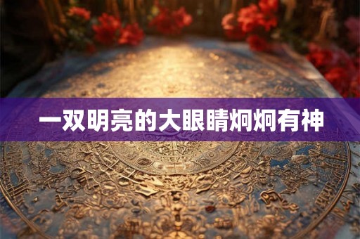 一双明亮的大眼睛炯炯有神