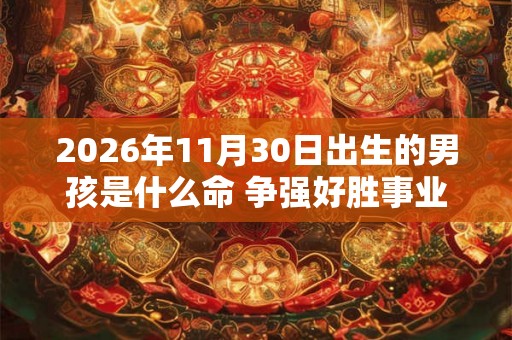 2026年11月30日出生的男孩是什么命 争强好胜事业好