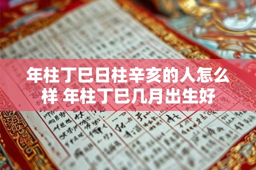年柱丁巳日柱辛亥的人怎么样 年柱丁巳几月出生好 年柱丁巳日柱辛亥的人怎么样 年柱丁巳几月出生好
