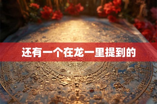 还有一个在龙一里提到的