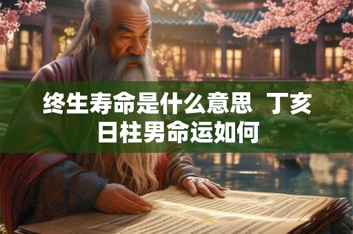 终生寿命是什么意思  丁亥日柱男命运如何